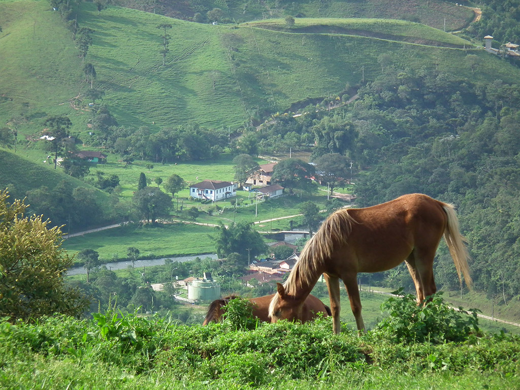 Roteiro de 3 dias em Visconde de Mauá: Cachoeiras e Gastronomia