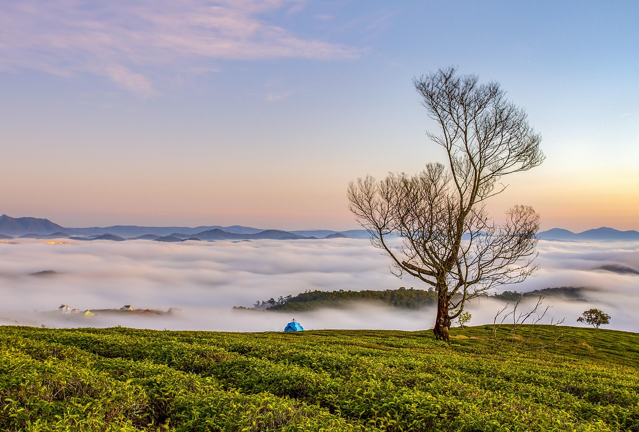 Além do Óbvio: Paisagens Escondidas no Nordeste Brasileiro