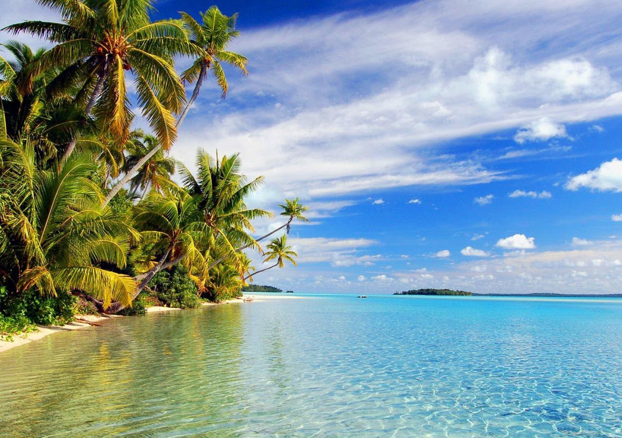 Guia Completo para Fotografia de Paisagens Naturais: Dicas e Equipamentos