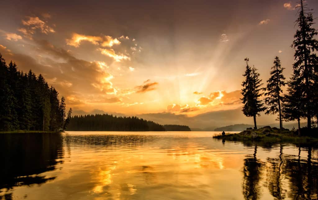 Como Escolher o Melhor Site para Baixar Imagens Gratuitas de Alta Qualidade