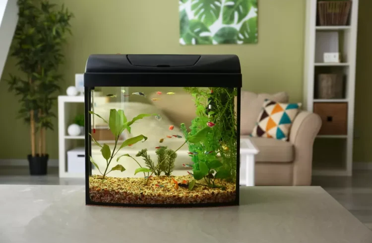 plantas artificiais para aquário