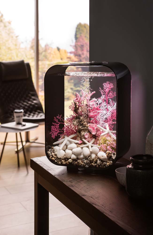 esconderijos para peixes aquário