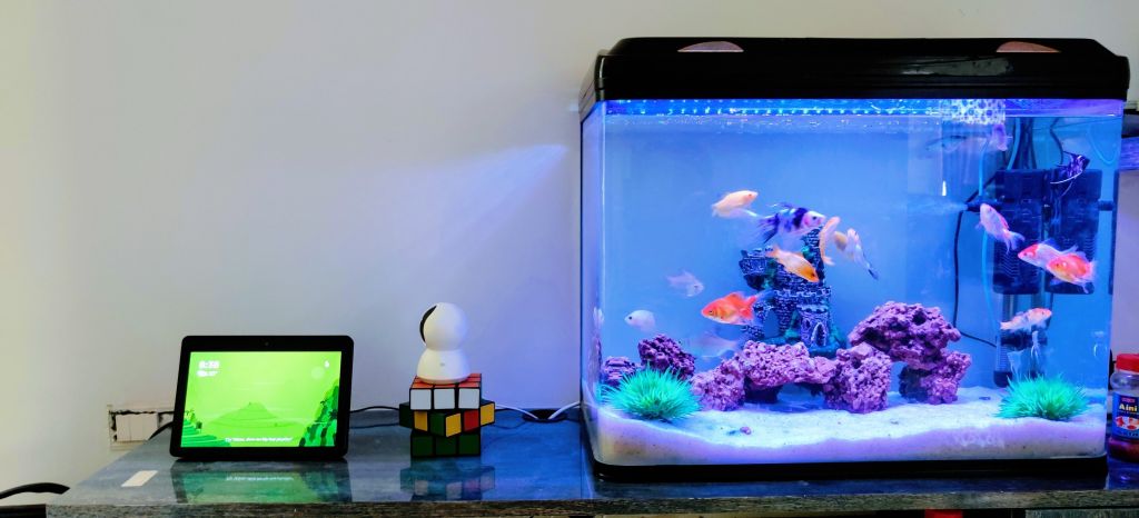 plantas artificiais para aquário