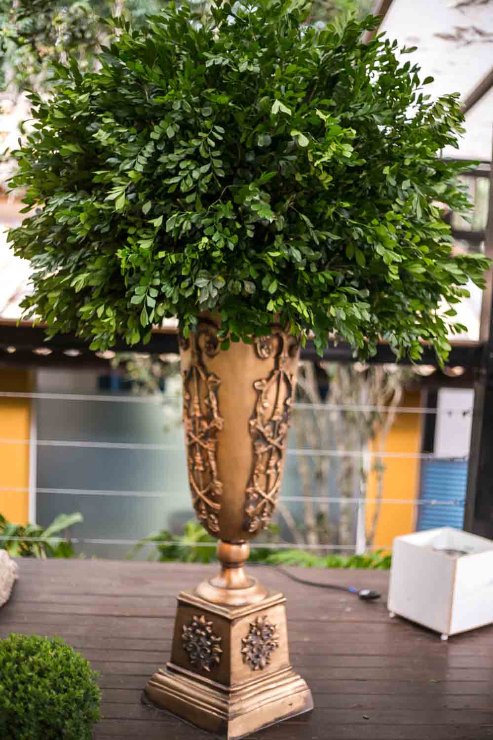 plantas para decorar sala