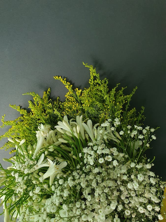 decoração com plantas em vasos