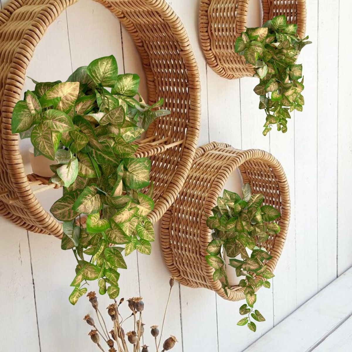 urban jungle decoração
