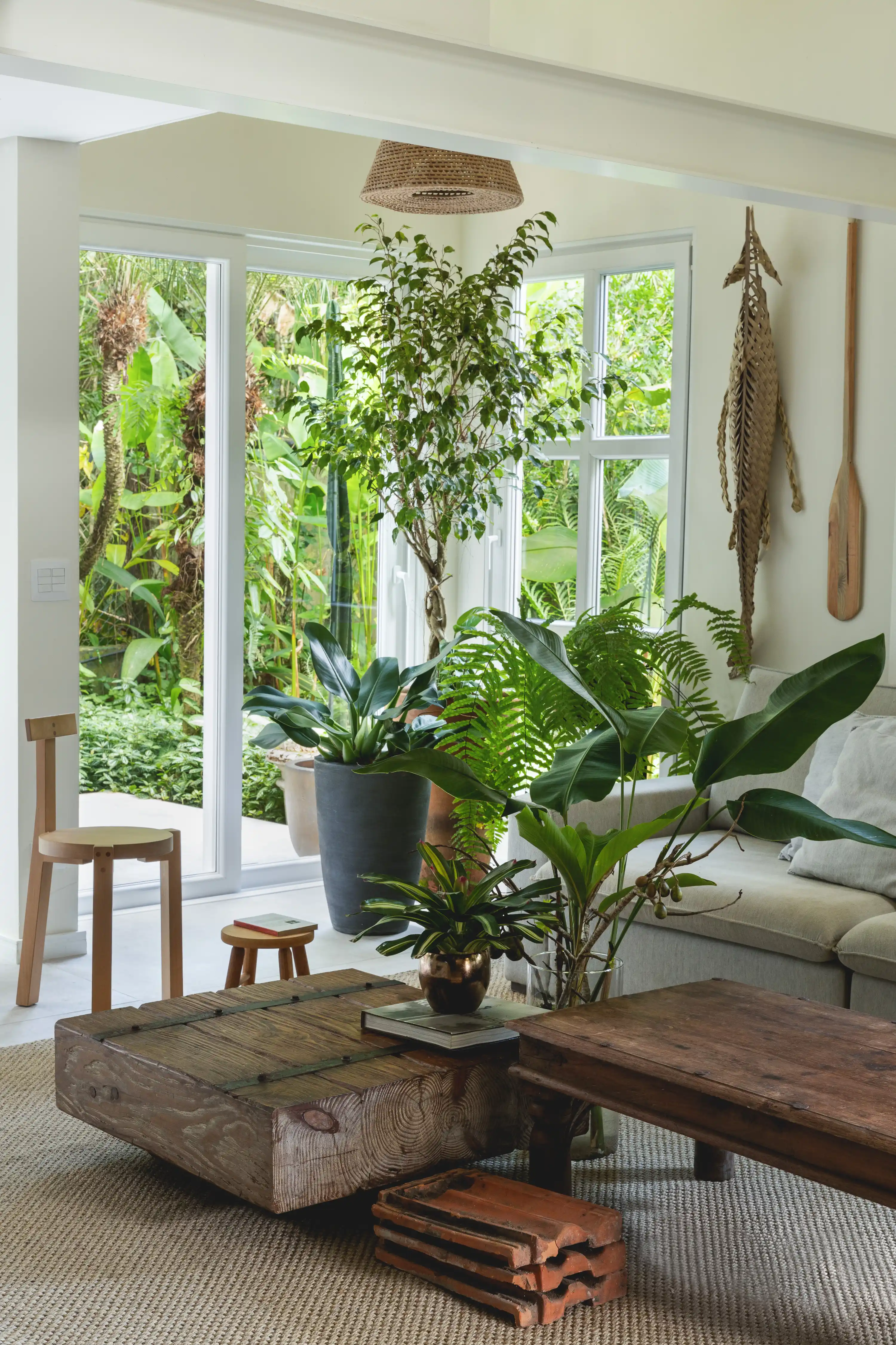 plantas de sombra para decoração