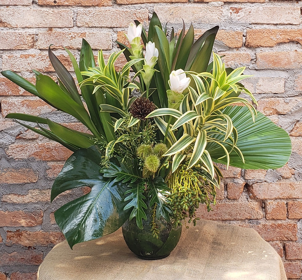 folhagens para interiores