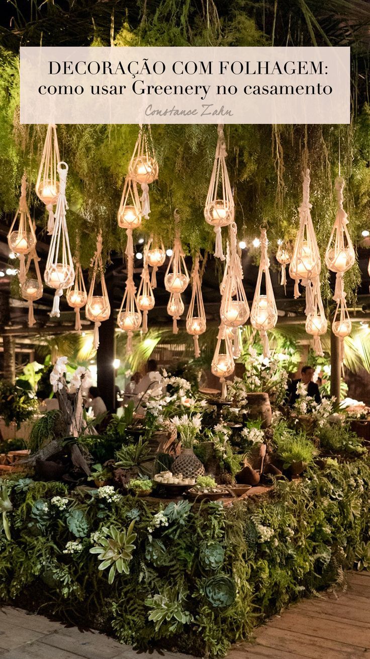 plantas para decorar sala