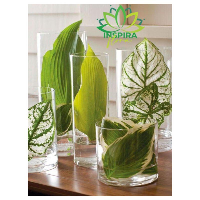 vaso de vidro grande com grama dos pampas