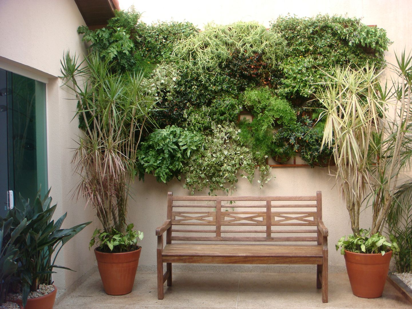 como cobrir muro com plantas