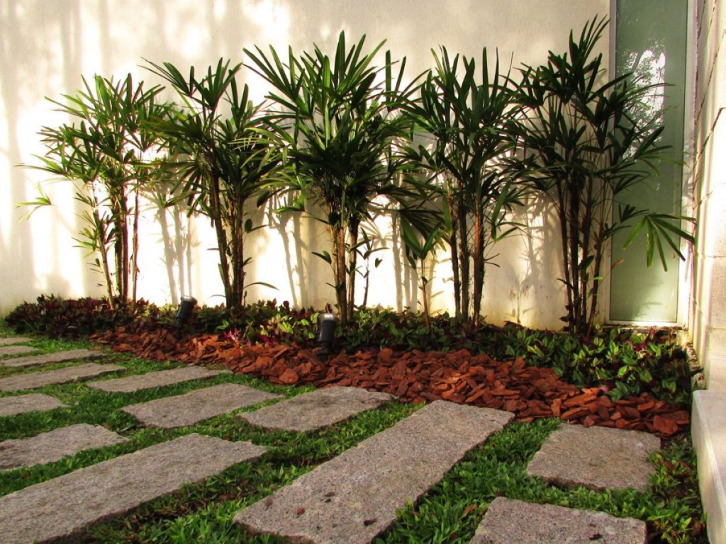 plantas que crescem em muros