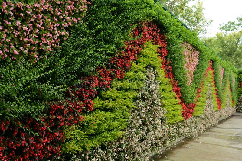 como cobrir muro com plantas