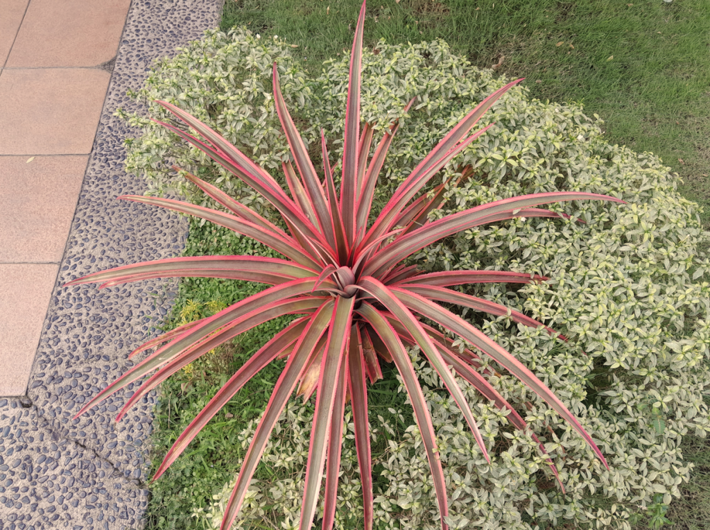 jardim vertical muro