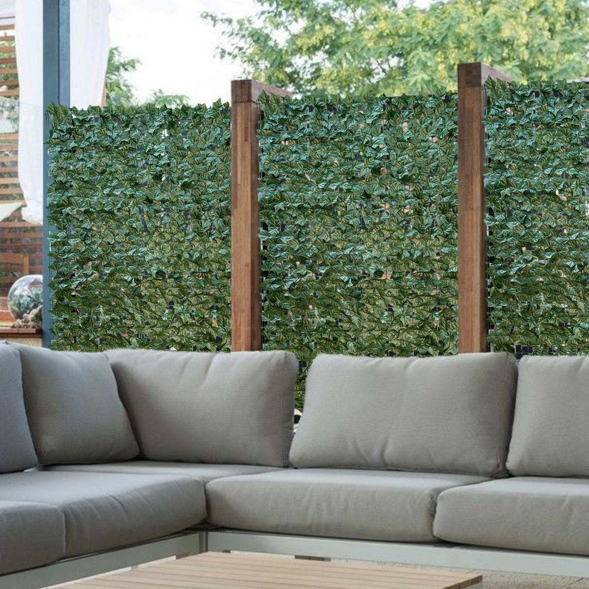 plantas que crescem em muros