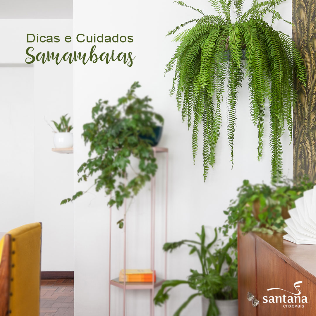 samambaia artificial decoração