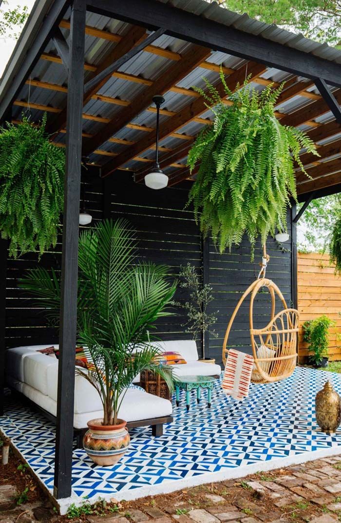 tipos de samambaia para decoração